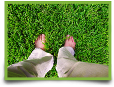 Feet in grass